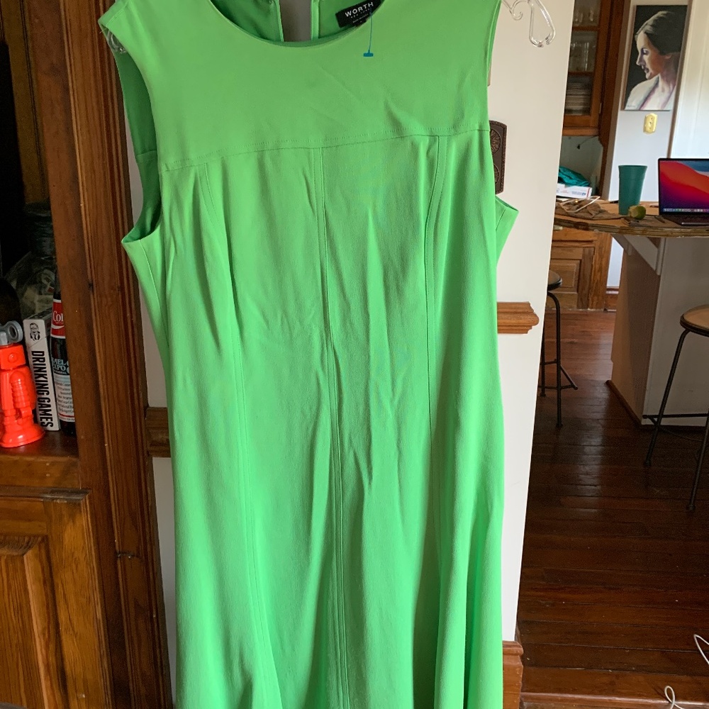 Worth New York green a‎ line dress. Worn twice